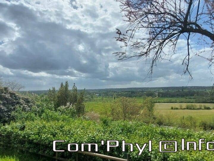 vuchapelle-matheflon-2-t