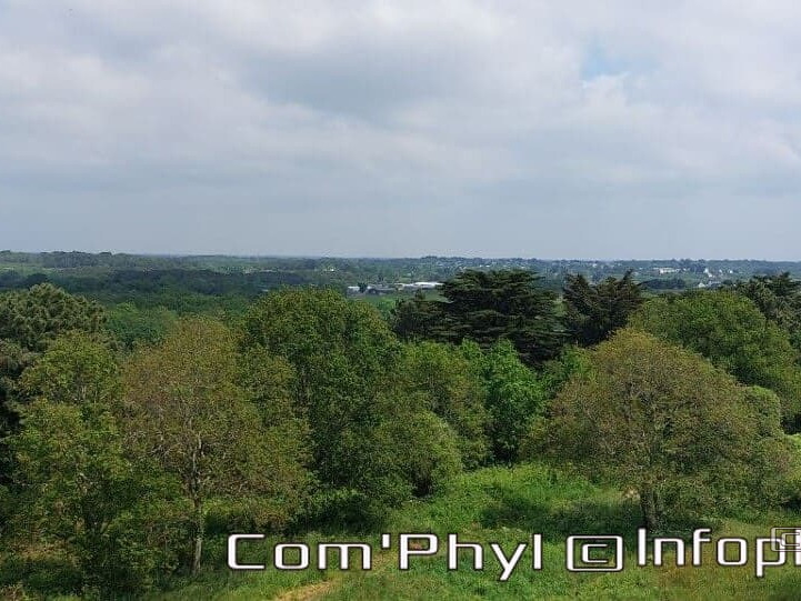 carnac-le-tumulus-st-michel-5