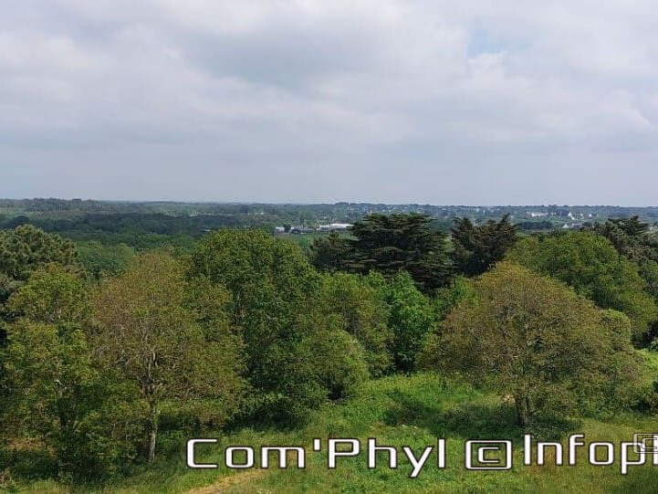 carnac-le-tumulus-st-michel-4