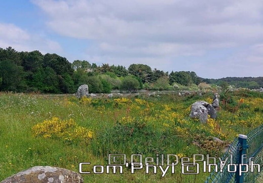 carnac-les-alignements-de-carnac-4