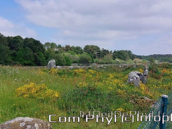 carnac-les-alignements-de-carnac-4