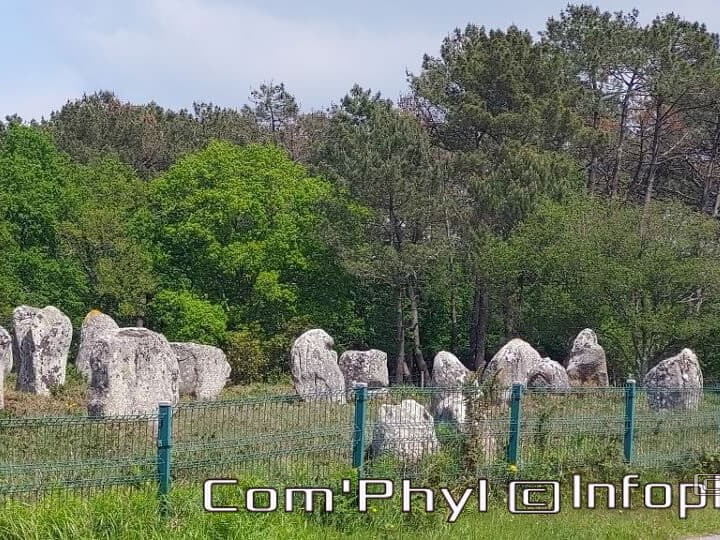 carnac-les-alignements-de-carnac-5