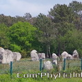 carnac-les-alignements-de-carnac-5