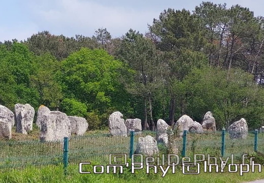 carnac-les-alignements-de-carnac-5
