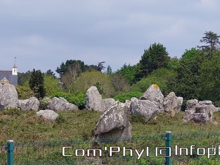 carnac-les-alignements-de-carnac-6