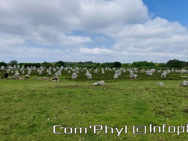 carnac-les-alignements-de-carnac-1