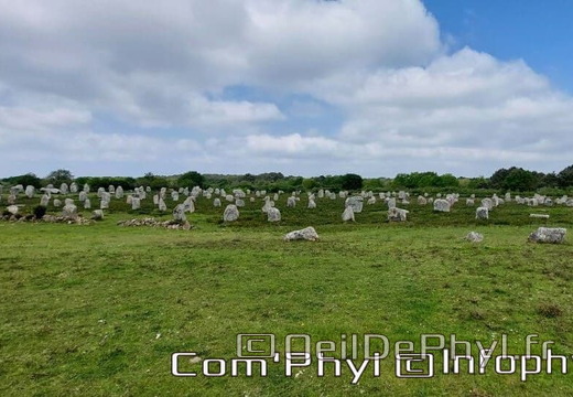 carnac-les-alignements-de-carnac-1