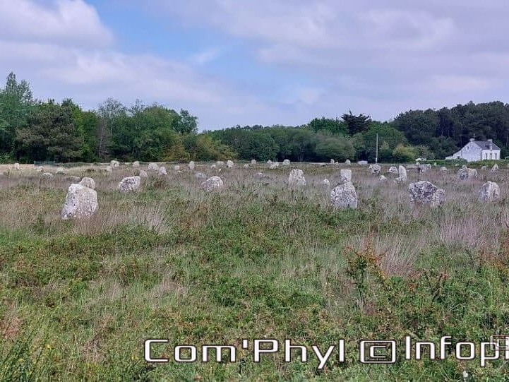 carnac-les-alignements-de-carnac-3