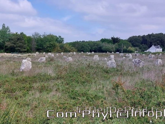carnac-les-alignements-de-carnac-3
