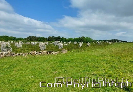carnac-les-alignements-de-carnac-2