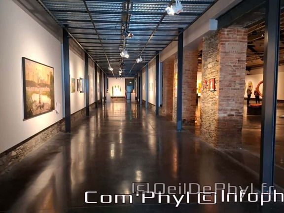 espace-art-contemporain-frida-kahlo-2024-012