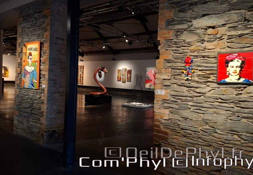 espace-art-contemporain-frida-kahlo-2024-014