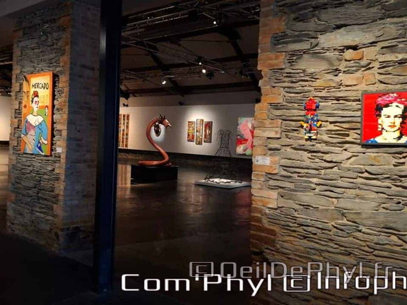 espace-art-contemporain-frida-kahlo-2024-014