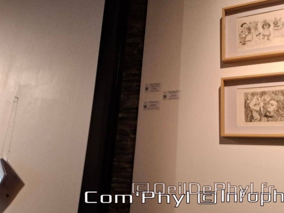 espace-art-contemporain-frida-kahlo-2024-016