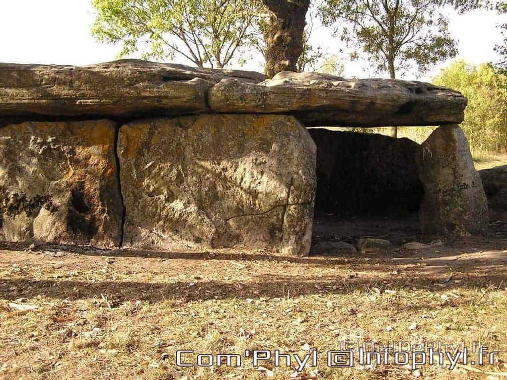 La Pierre-Cesée - Soucelles