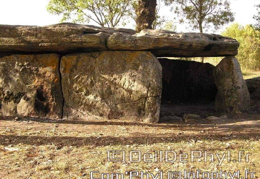 La Pierre-Cesée - Soucelles