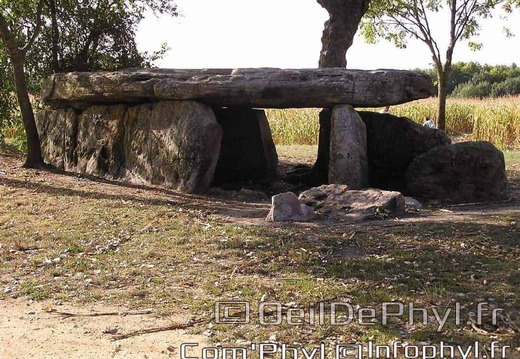 La Pierre-Cesée - Soucelles
