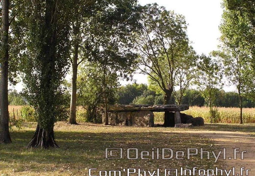 La Pierre-Cesée - Soucelles