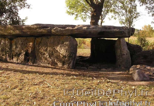 La Pierre-Cesée - Soucelles