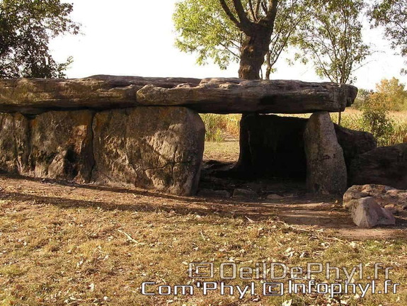 La Pierre-Cesée - Soucelles