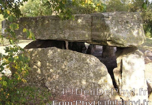 La Pierre-Cesée - Soucelles