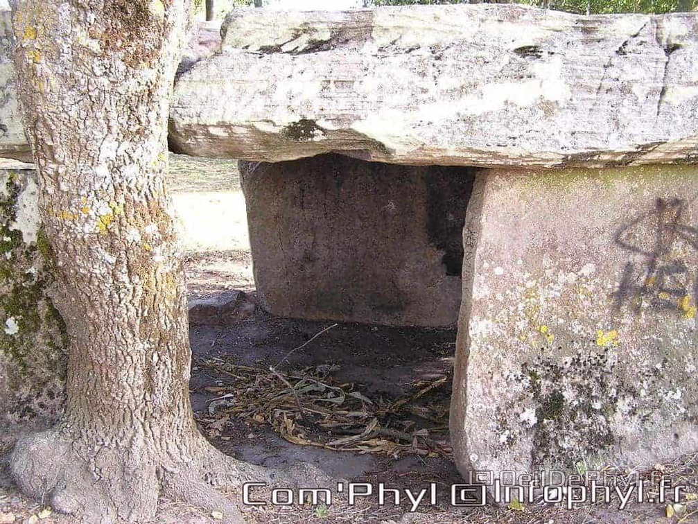 La Pierre-Cesée - Soucelles