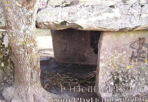 La Pierre-Cesée - Soucelles