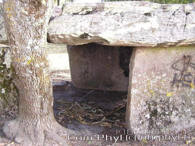 La Pierre-Cesée - Soucelles