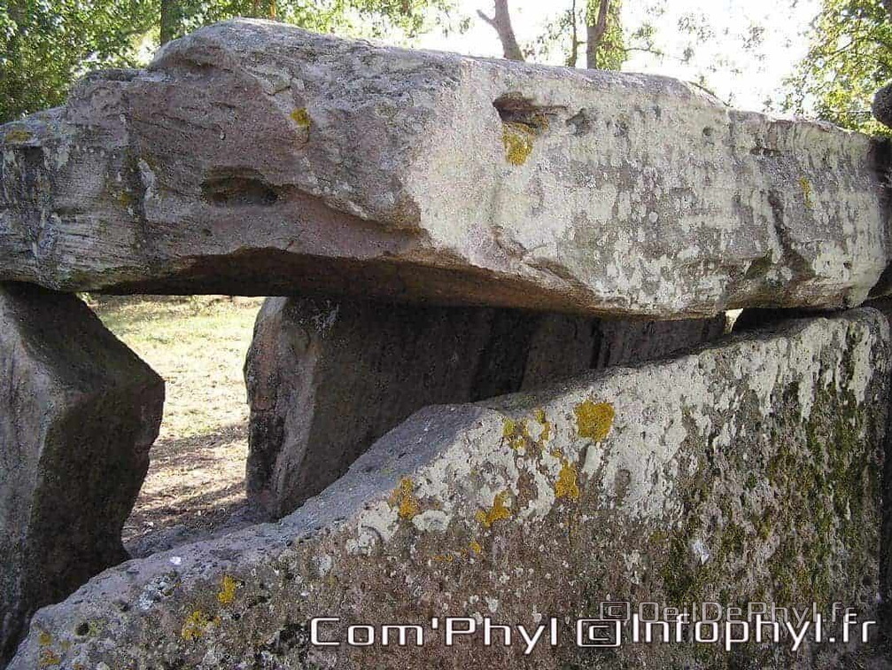 La Pierre-Cesée - Soucelles