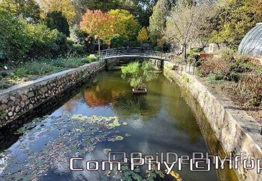 arboretum-gaston-allard-angers-5