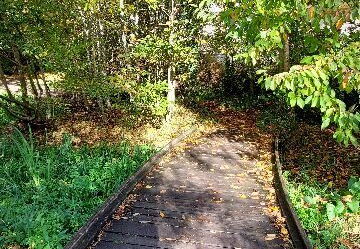 arboretum-gaston-allard-angers-6