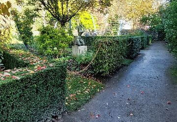 arboretum-gaston-allard-angers-11