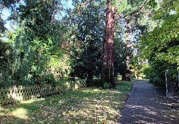 arboretum-gaston-allard-angers-13