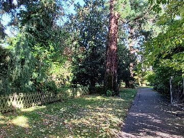 arboretum-gaston-allard-angers-13