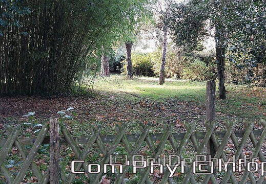 arboretum-gaston-allard-angers-15