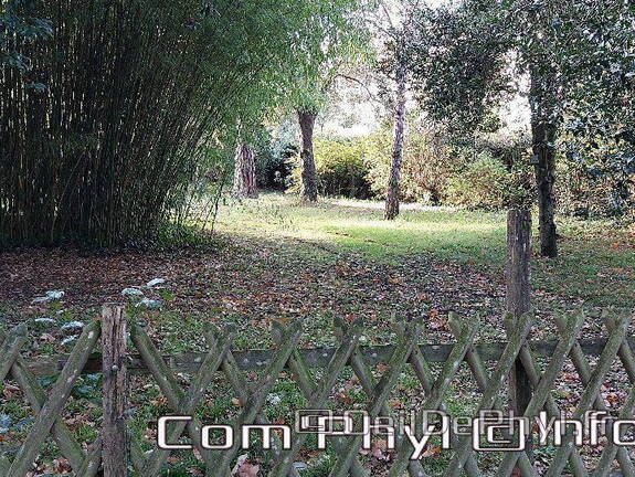 arboretum-gaston-allard-angers-15