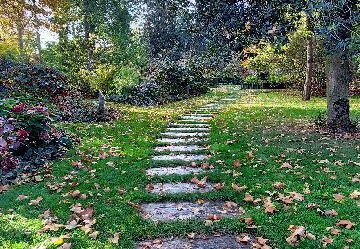 arboretum-gaston-allard-angers-14