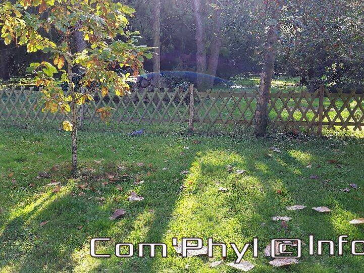 arboretum-gaston-allard-angers-16