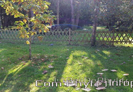 arboretum-gaston-allard-angers-16