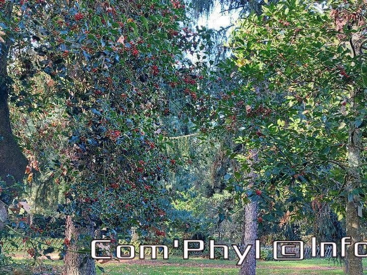 arboretum-gaston-allard-angers-17