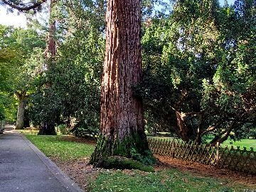 arboretum-gaston-allard-angers-18