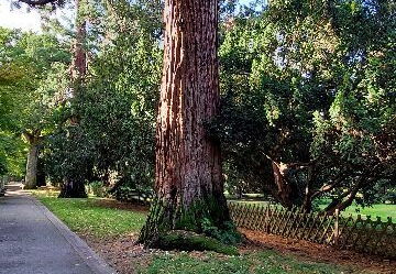 arboretum-gaston-allard-angers-18