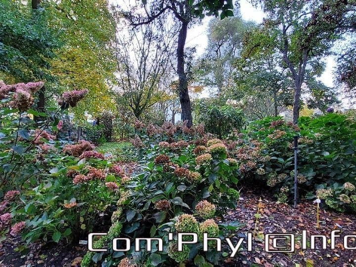 arboretum-gaston-allard-angers-21