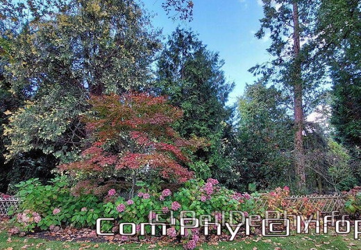 arboretum-gaston-allard-angers-22