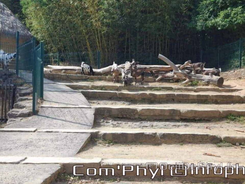 Bioparc de Doué la fontaine