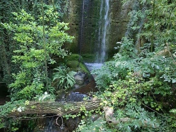 Bioparc de Doué la fontaine