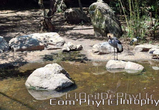 Bioparc de Doué la fontaine