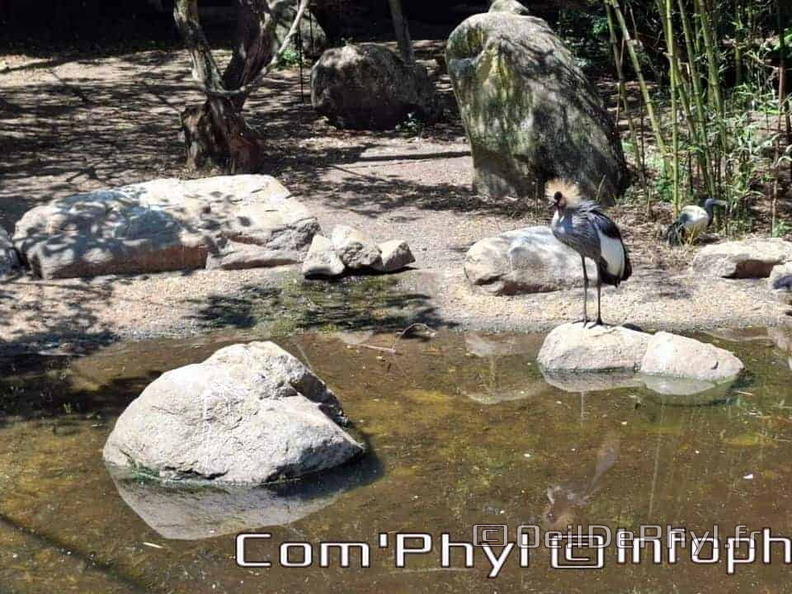Bioparc de Doué la fontaine