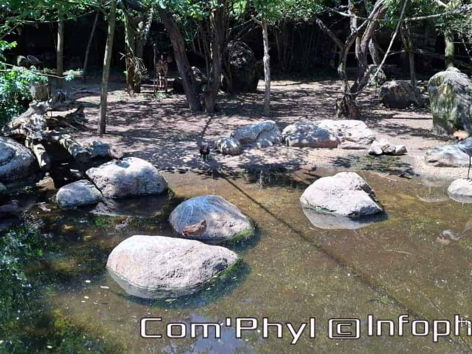 Bioparc de Doué la fontaine