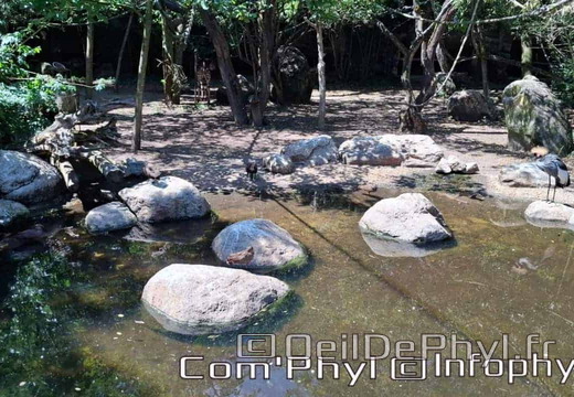 Bioparc de Doué la fontaine